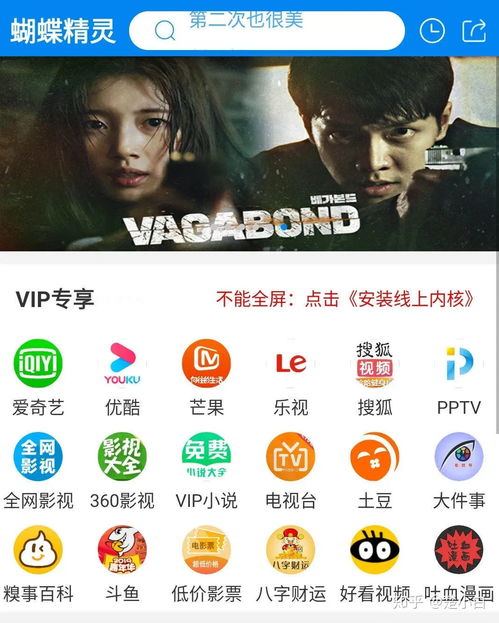 代理銷(xiāo)售“全網(wǎng)影視會(huì)員一卡通”的法律風(fēng)險(xiǎn)與深圳軟件開(kāi)發(fā)合規(guī)路徑